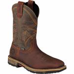 Irish Setter - 83930