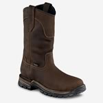Irish Setter - 83906